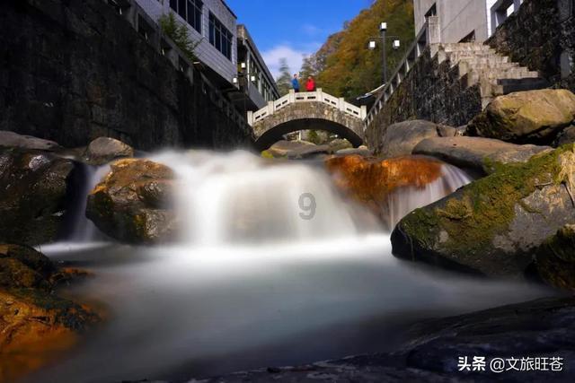 同样是95TOP流量花，为何虞书欣和赵露思的“扛剧”不太一样？